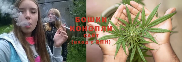 ПСИЛОЦИБИНОВЫЕ ГРИБЫ Арсеньев