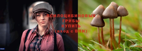 ALPHA-PVP Аркадак