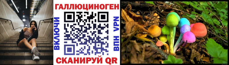mega ССЫЛКА  Бронницы  Галлюциногенные грибы Magic Shrooms 